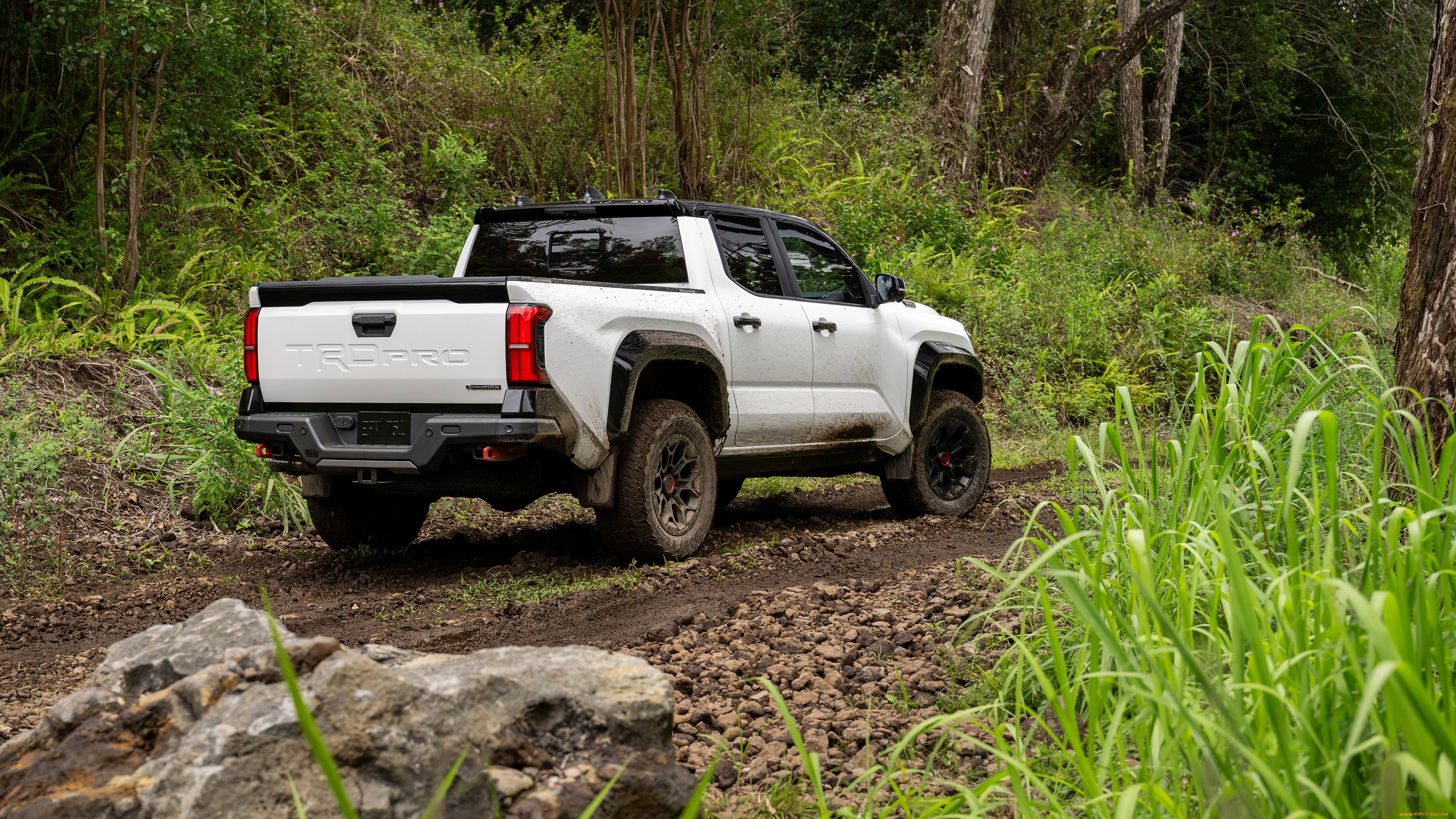 , toyota, tacoma, trd, pro, 2024, , , , 